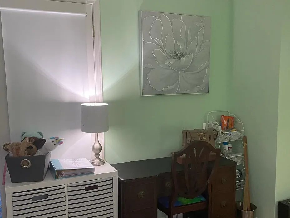 Benjamin Moore Parkside Dunes guest room color