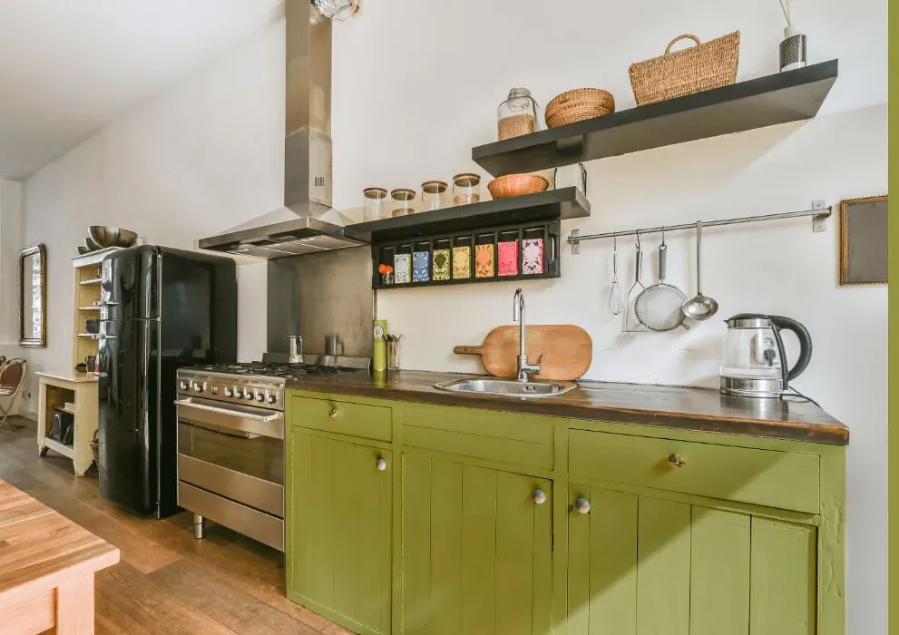 Benjamin Moore Parrot Green kitchen cabinets