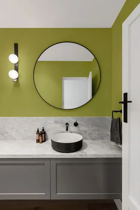 Benjamin Moore Parrot Green minimalist bathroom