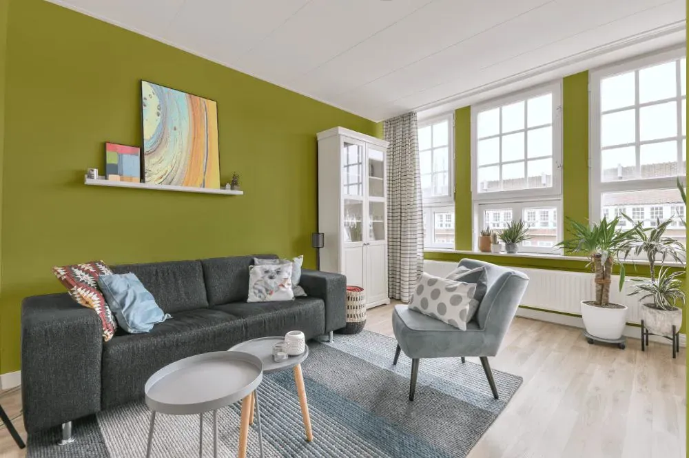Benjamin Moore Parrot Green living room walls