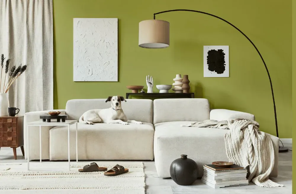 Benjamin Moore Parrot Green cozy living room