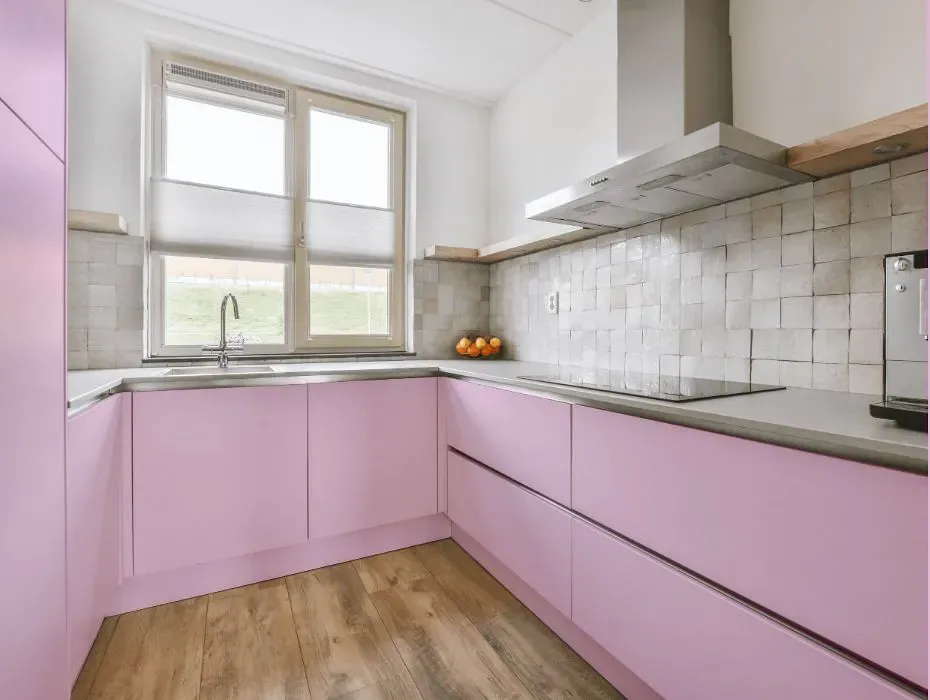 Benjamin Moore Passion Pink small kitchen cabinets