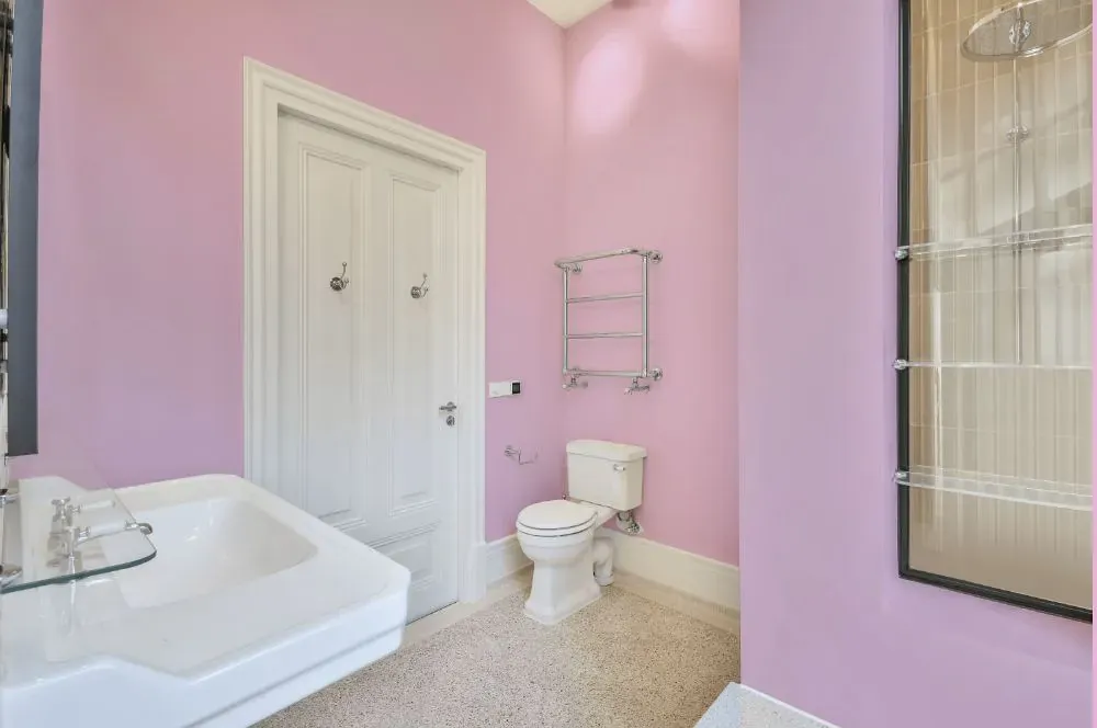 Benjamin Moore Passion Pink bathroom