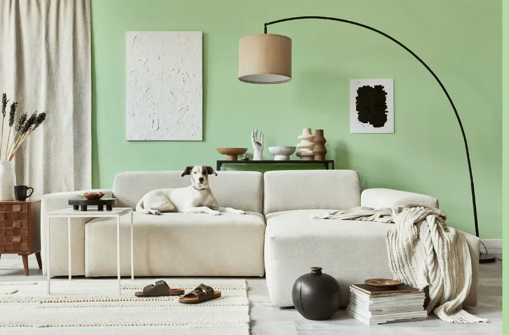 Benjamin Moore Pastel Green cozy living room