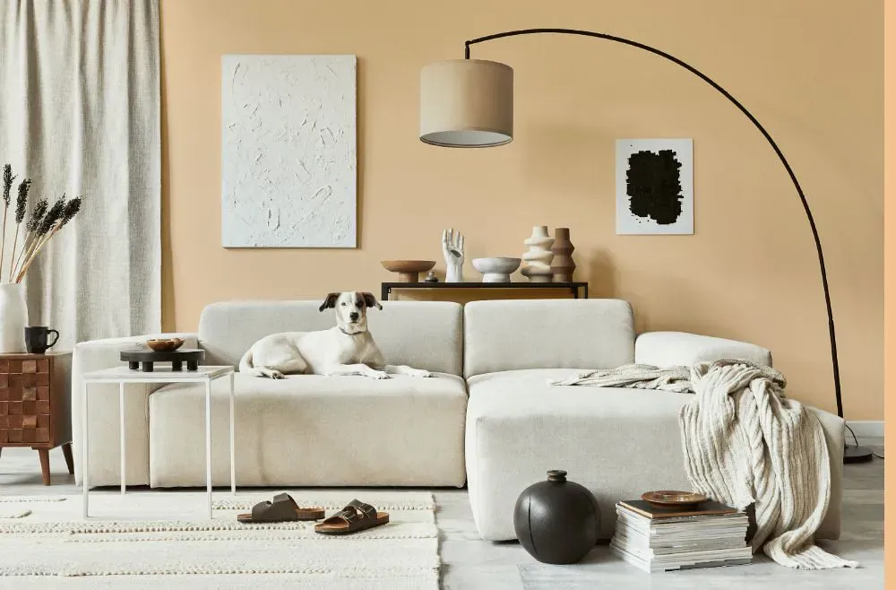 Benjamin Moore Peach Complexion cozy living room
