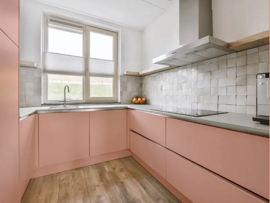 Benjamin Moore Peach Mousse small kitchen cabinets