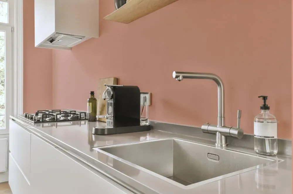 Benjamin Moore Peach Mousse kitchen painted backsplash