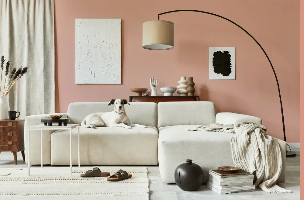 Benjamin Moore Peach Mousse cozy living room