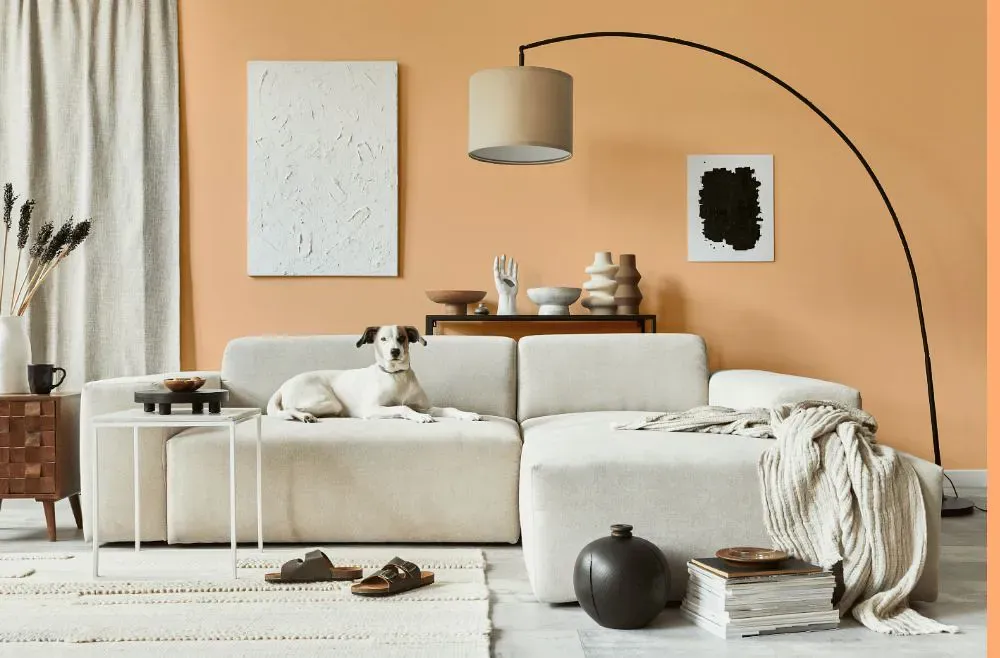Benjamin Moore Peach Pudding cozy living room