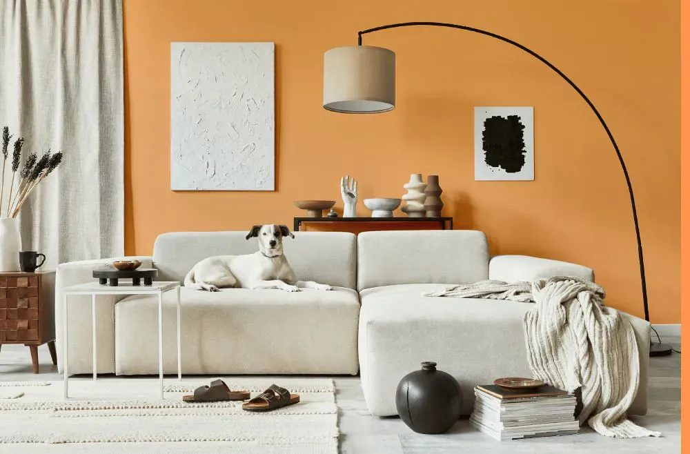 Benjamin Moore Peach Sorbet cozy living room