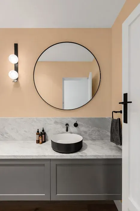Benjamin Moore Peach Stone minimalist bathroom