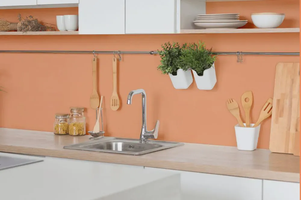 Benjamin Moore Peachland kitchen backsplash