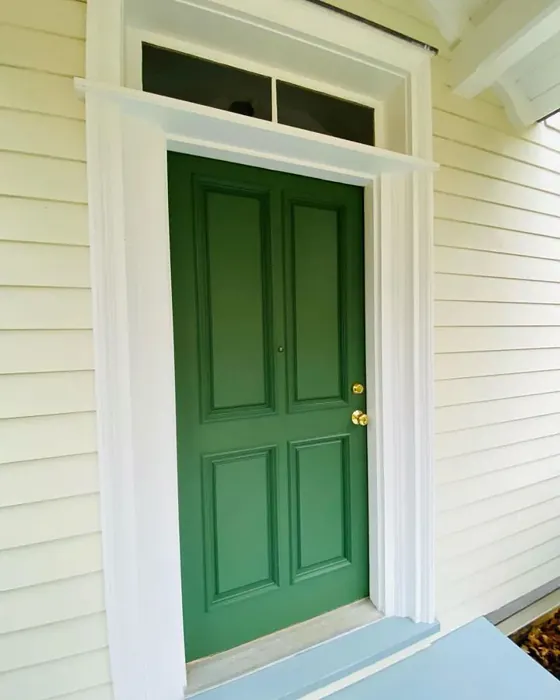 Benjamin Moore Peale Green Front Door