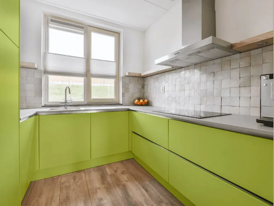 Benjamin Moore Pear Green small kitchen cabinets
