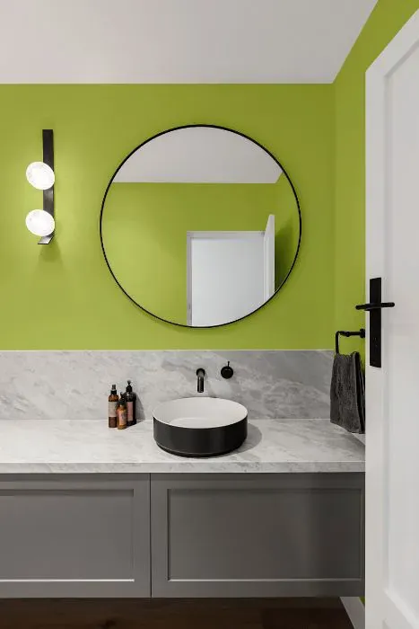 Benjamin Moore Pear Green minimalist bathroom