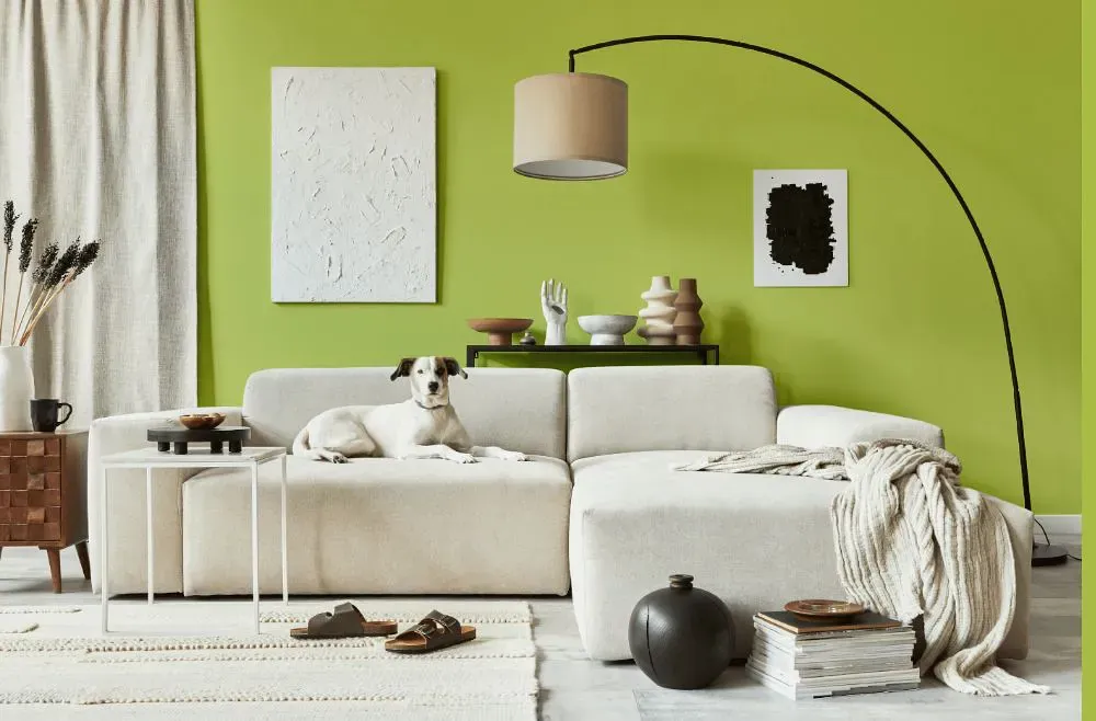 Benjamin Moore Pear Green cozy living room