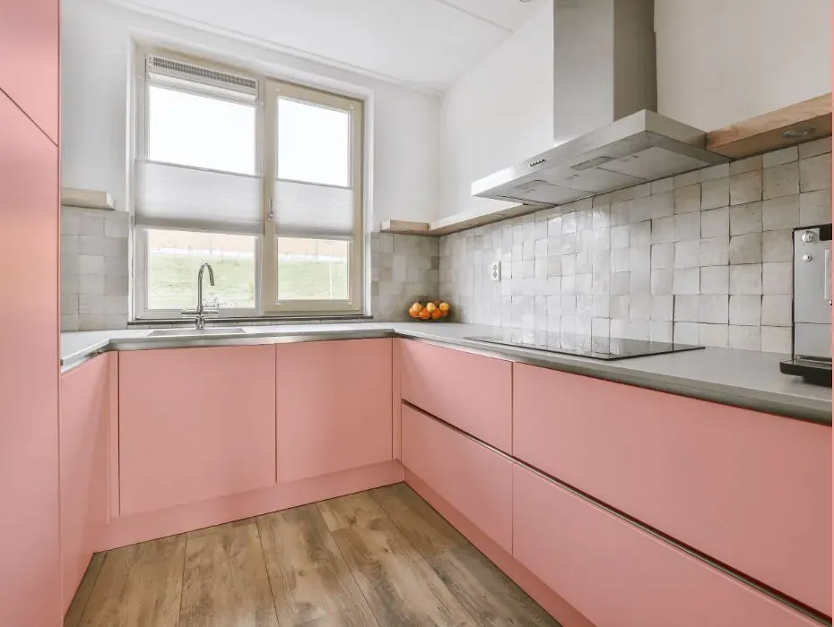 Benjamin Moore Pearly Pink small kitchen cabinets