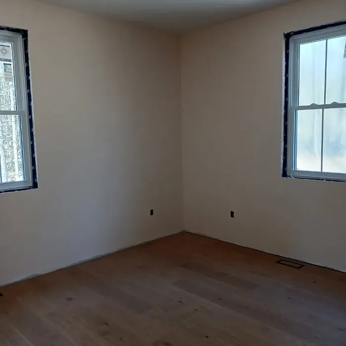 Pensacola Pink kids' room paint Pensacola Pink kids' room paint