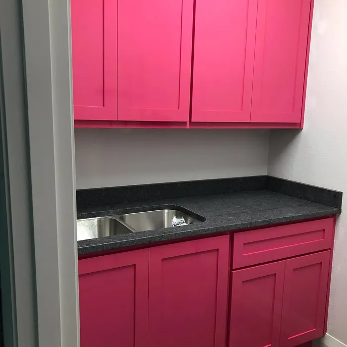 Benjamin Moore Peony kitchen cabinets color