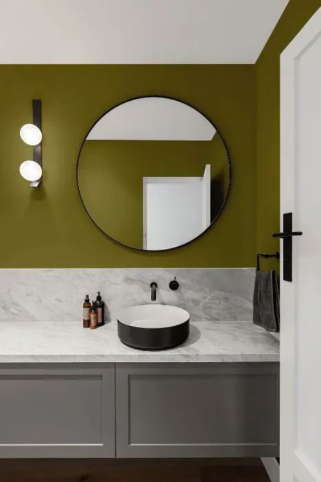 Benjamin Moore Perfectly Pesto minimalist bathroom