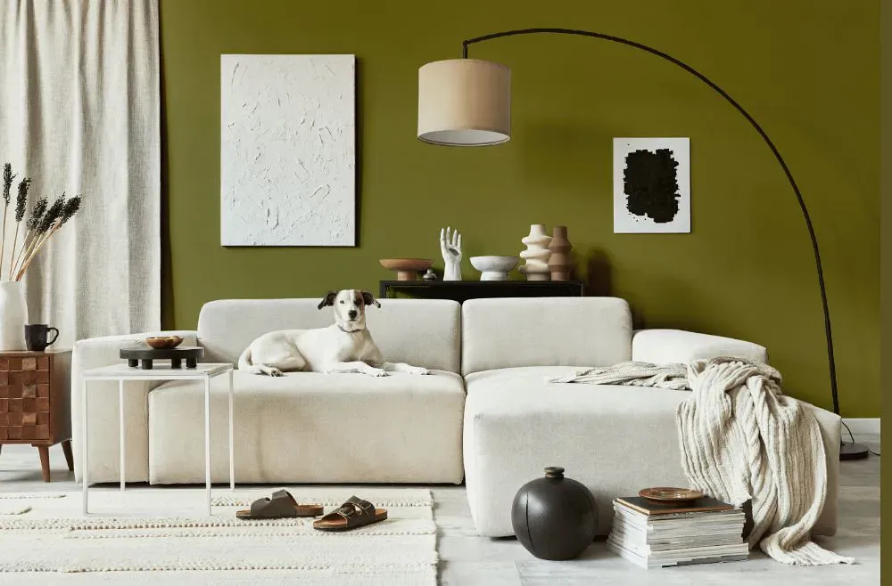 Benjamin Moore Perfectly Pesto cozy living room