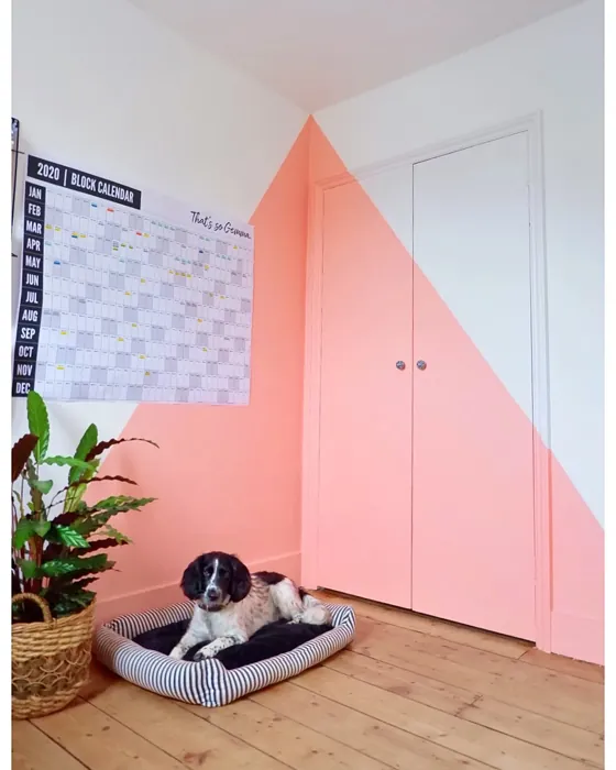 Benjamin Moore Phoenix Sand paint color-block