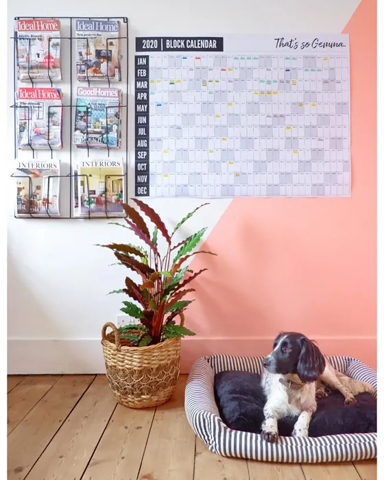 Phoenix Sand paint color-block