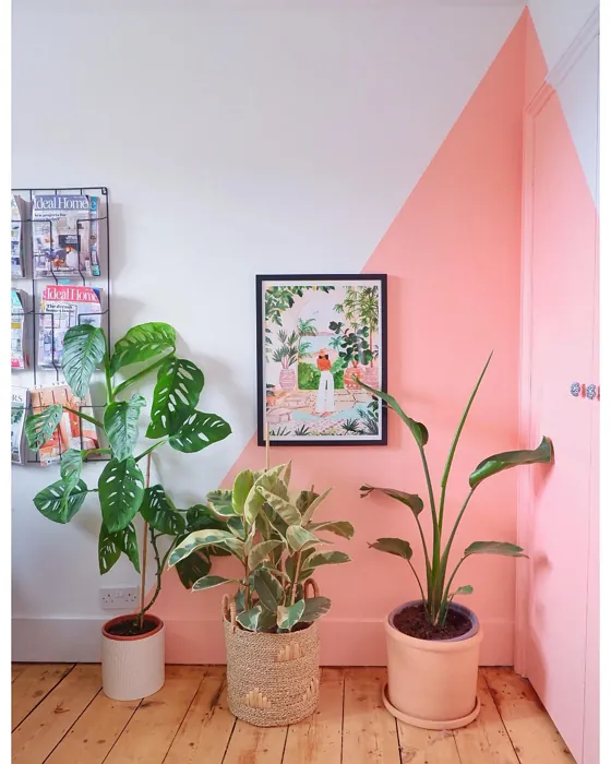 Benjamin Moore Phoenix Sand wall paint 