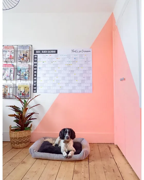 Benjamin Moore Phoenix Sand wall paint color