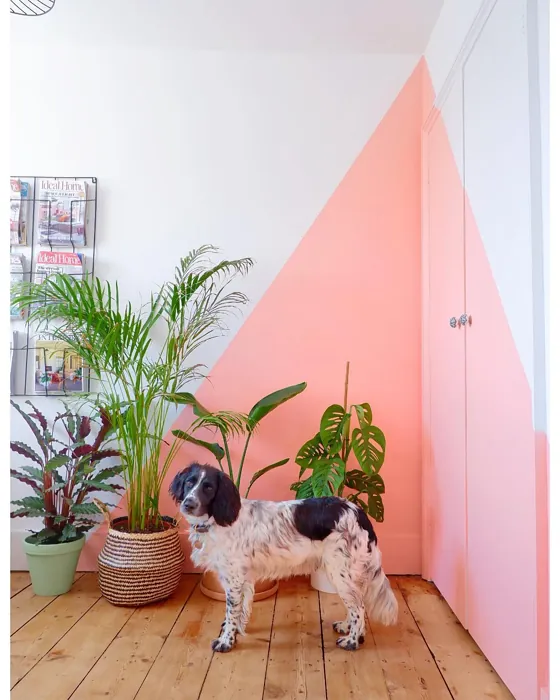 Benjamin Moore Phoenix Sand wall paint color review