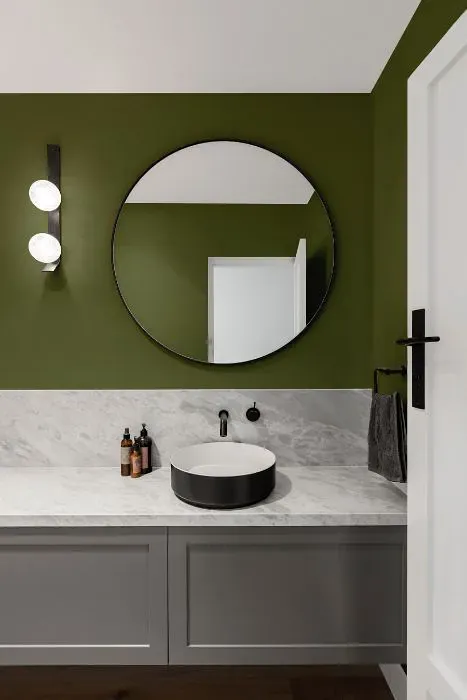Benjamin Moore Pine Brook minimalist bathroom
