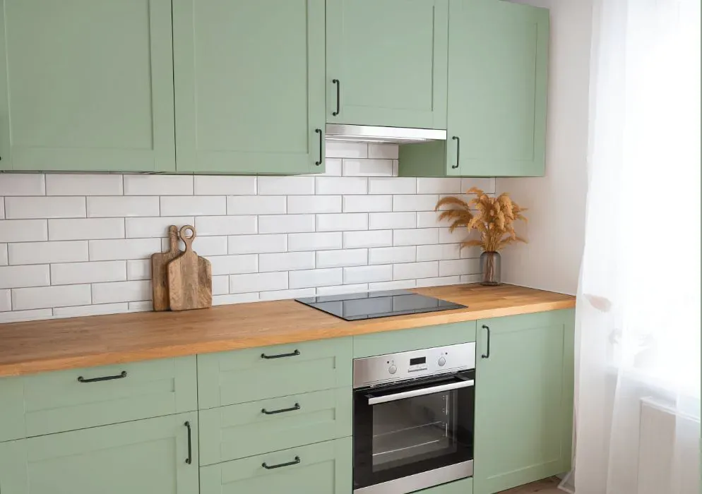 Benjamin Moore Pine Forest kitchen cabinets