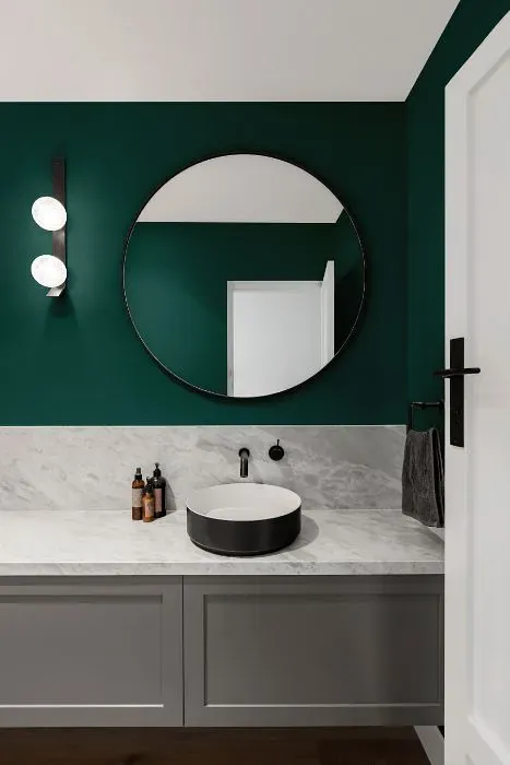 Benjamin Moore Pine Green minimalist bathroom