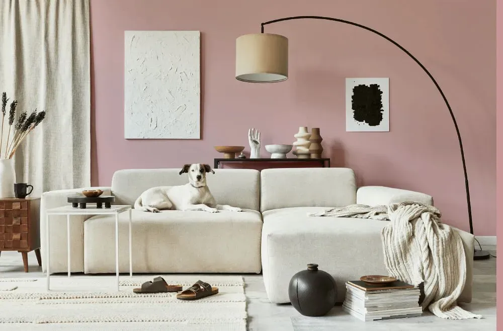 Benjamin Moore Pink Attraction cozy living room