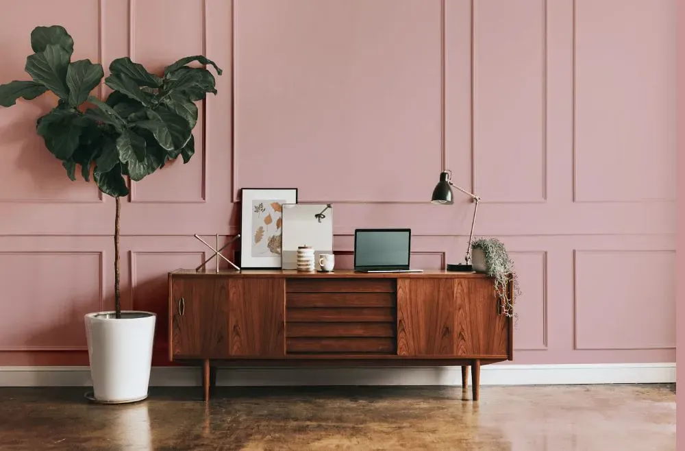 Benjamin Moore Pink Attraction modern interior