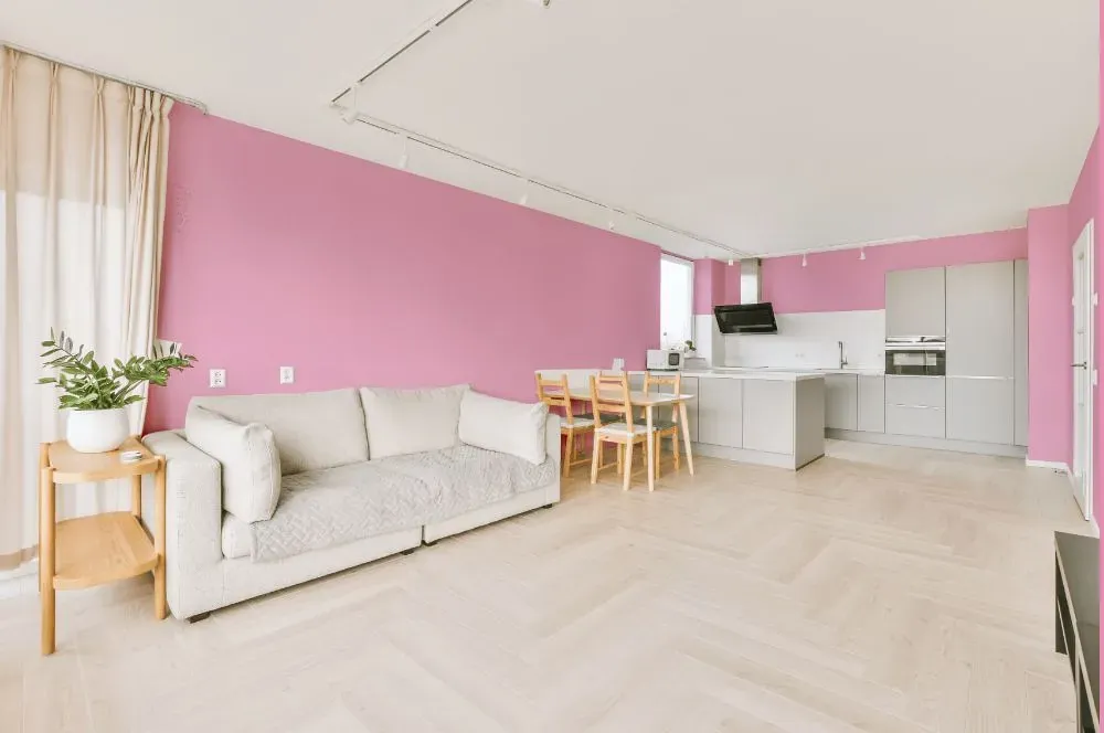 Benjamin Moore Pink Begonia living room interior