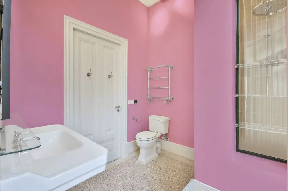 Benjamin Moore Pink Begonia bathroom