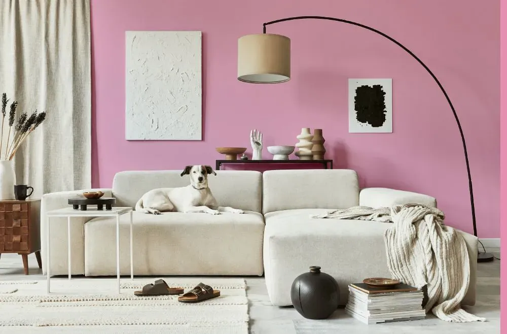 Benjamin Moore Pink Begonia cozy living room