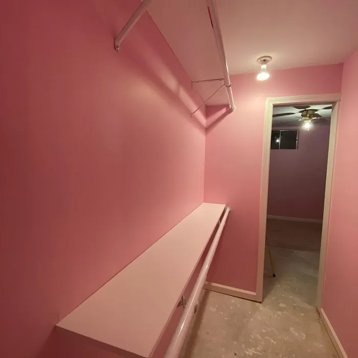 Benjamin Moore Pink Cherub Wall Paint