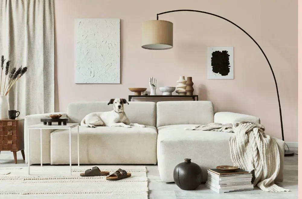 Benjamin Moore Pink Cloud cozy living room