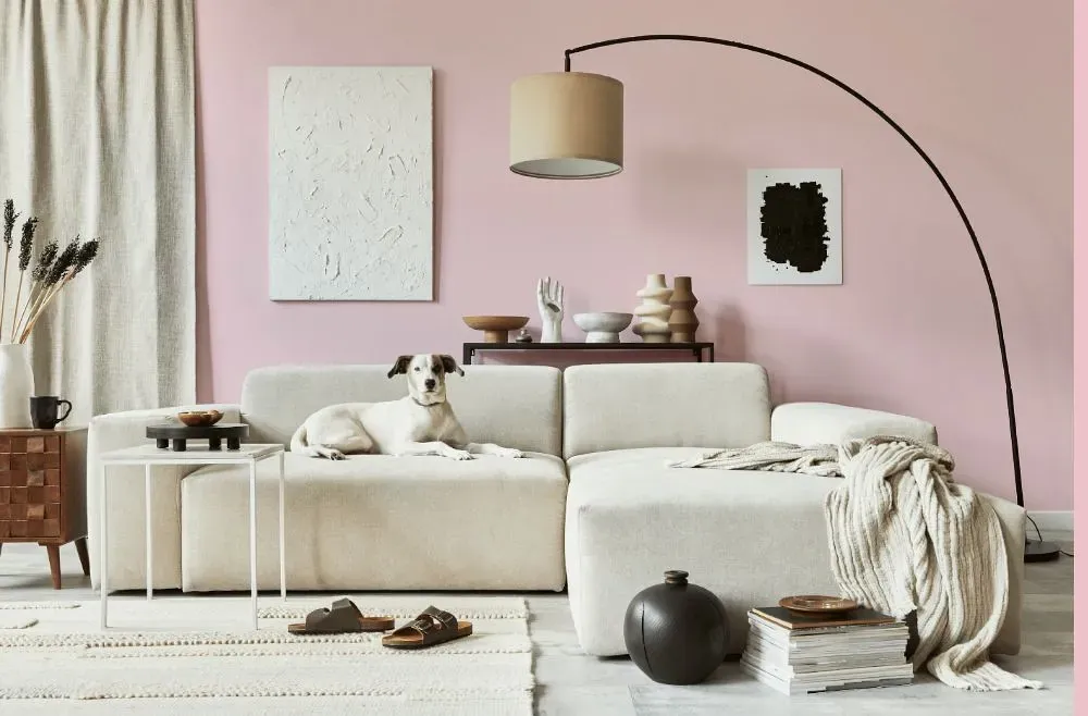 Benjamin Moore Pink Dynasty cozy living room