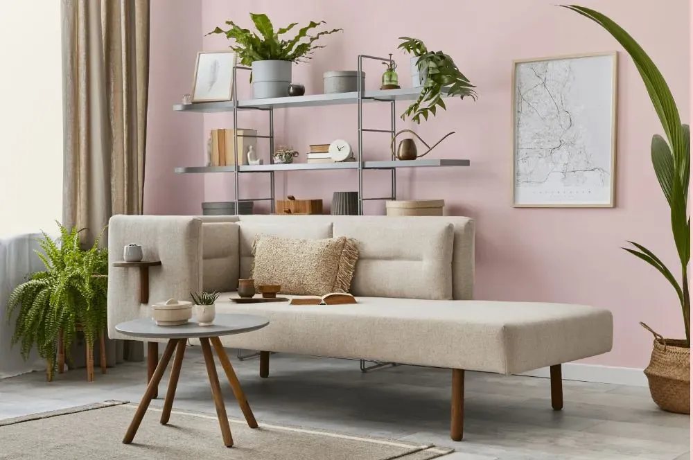 Benjamin Moore Pink Fairy living room