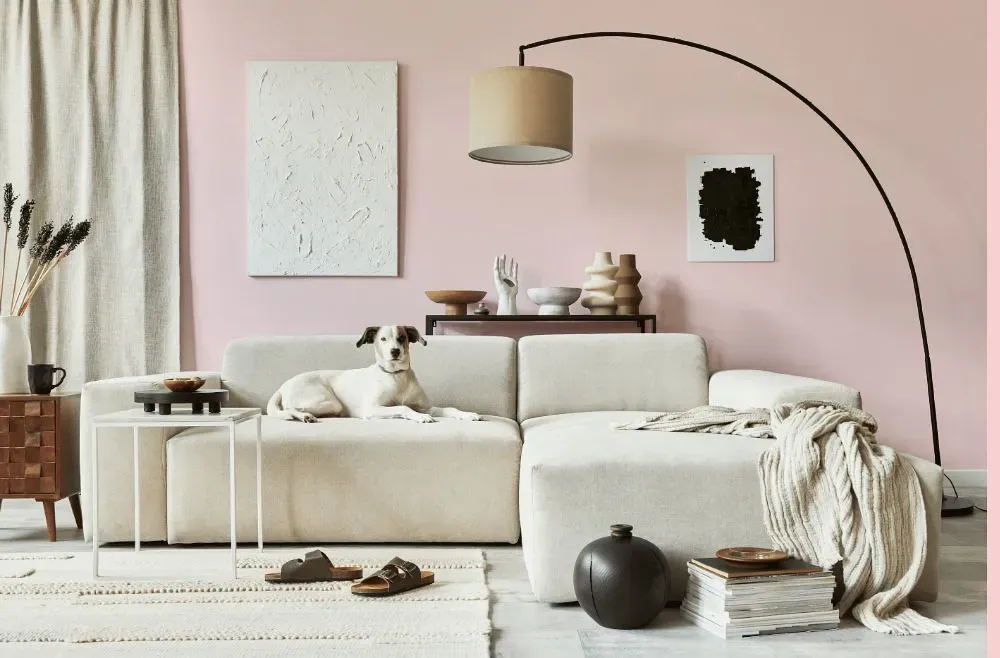 Benjamin Moore Pink Fairy cozy living room