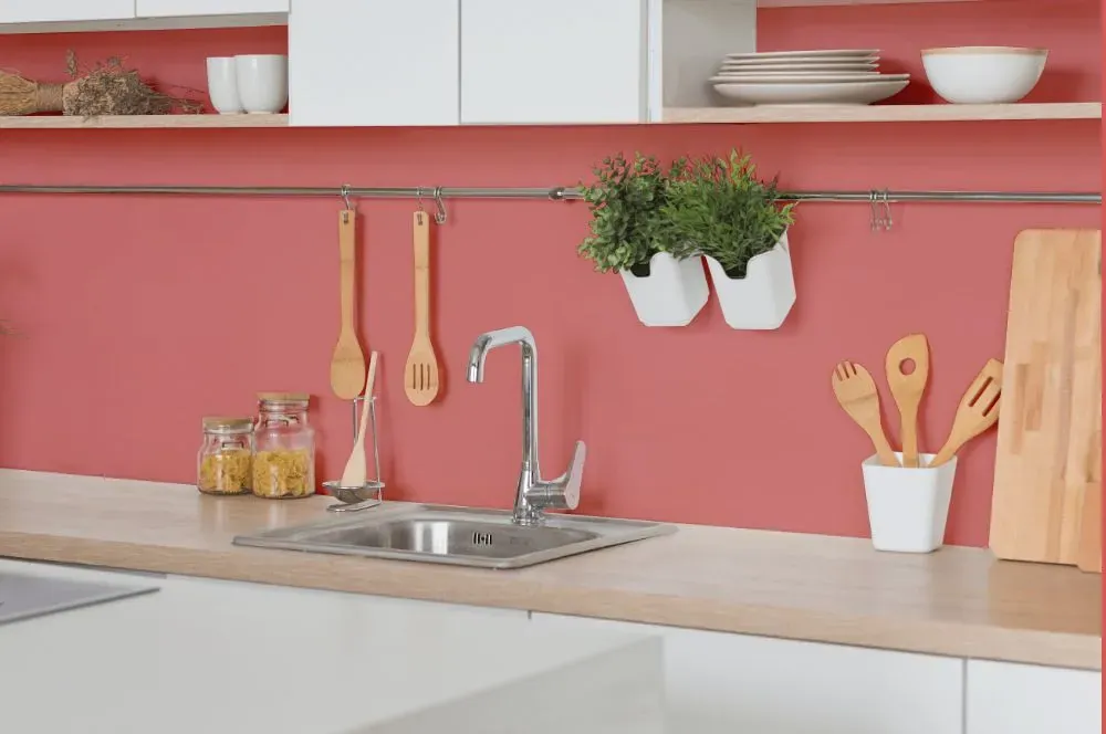 Benjamin Moore Pink Flamingo kitchen backsplash