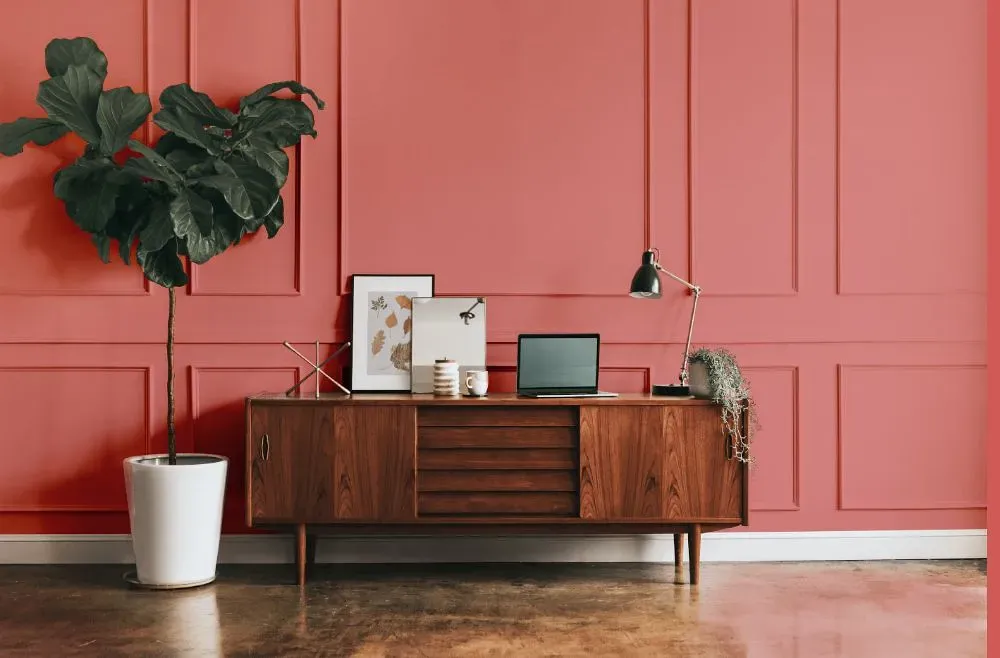 Benjamin Moore Pink Flamingo modern interior