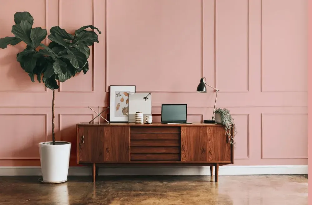 Benjamin Moore Pink Hibiscus modern interior