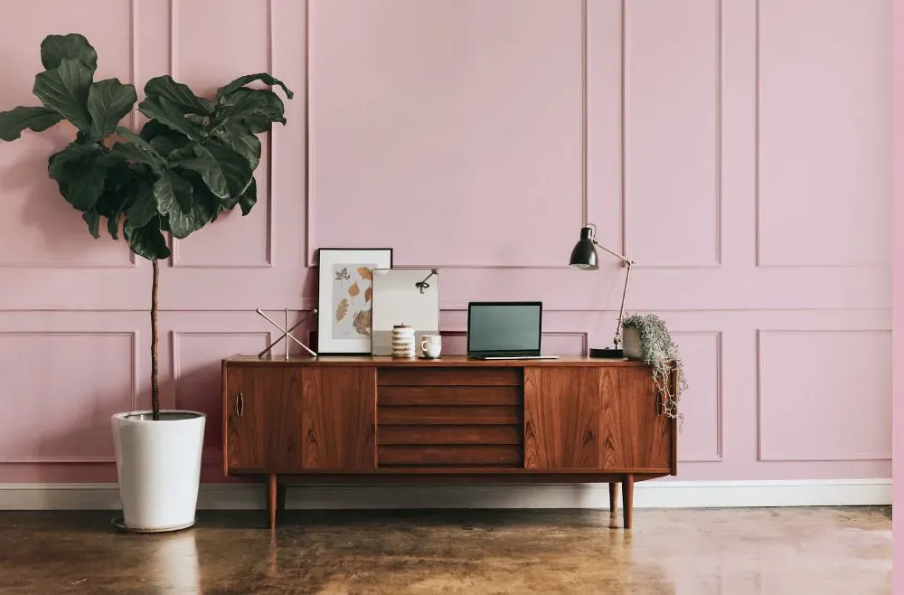 Benjamin Moore Pink Innocence modern interior