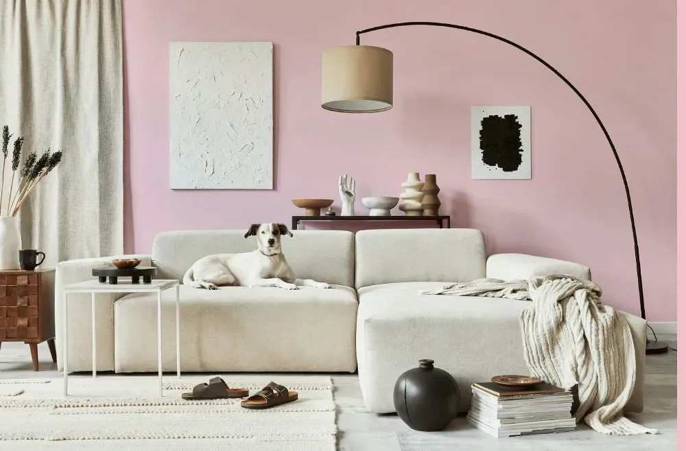 Benjamin Moore Pink Lace cozy living room