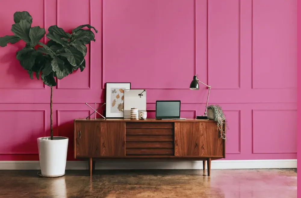 Benjamin Moore Pink Ladies modern interior