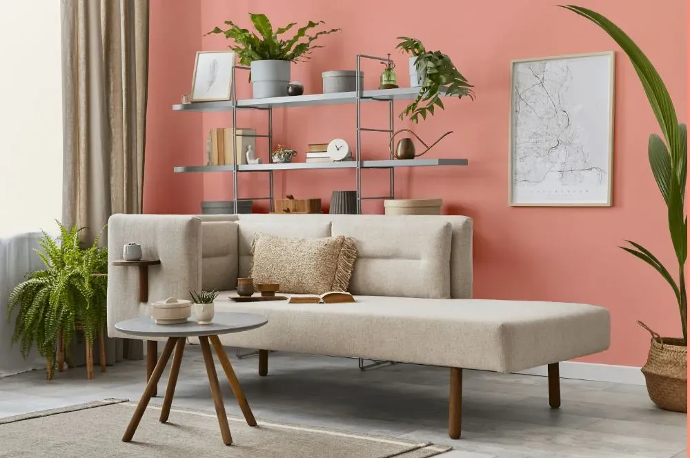 Benjamin Moore Pink Paradise living room